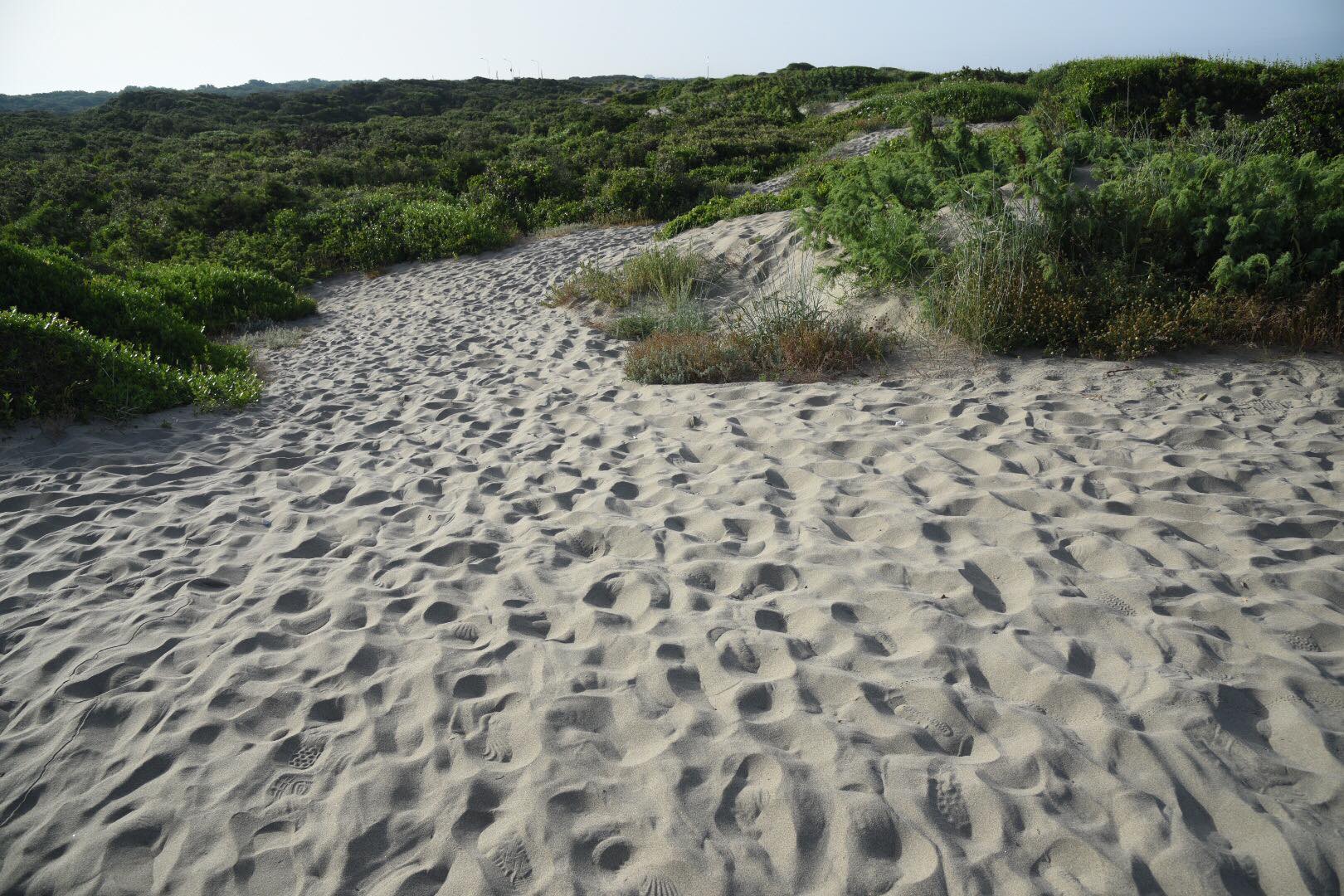La storia delle dune di Capocotta